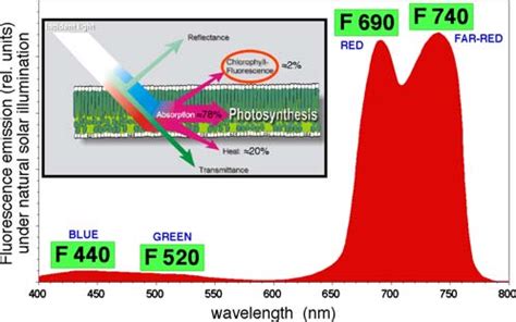 Typical Leaf Fluorescence Emission Spectrum Showing Also The Typical