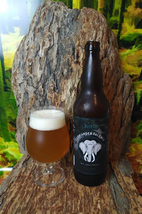 Coriander Pale Ale Hathi Brewing Mikes Craft Beer