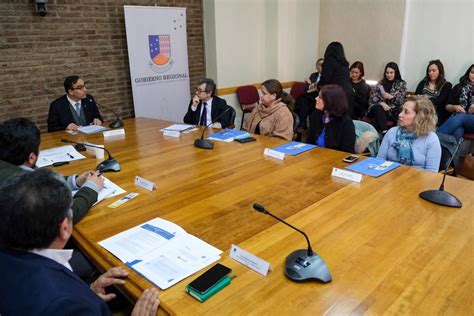 Con éxito se constituyó en Magallanes el Consejo Regional de