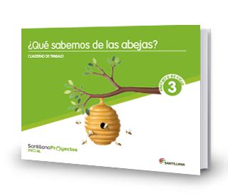 Santillana Proyectos Inicial Qu Sabemos De La Abeja Edupack