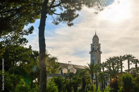 Low Angle Backlight View Of The Promenade With Pine And Palm Trees And