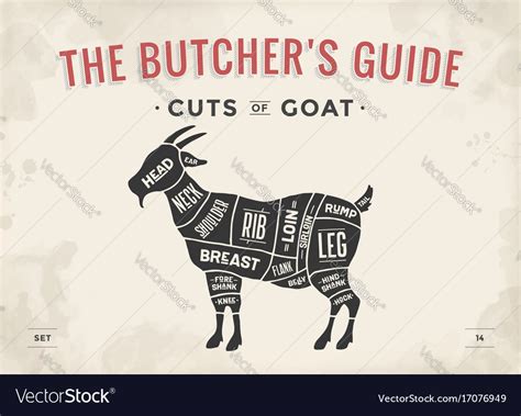 Cut Meat Set Poster Butcher Diagram Scheme Vector Image