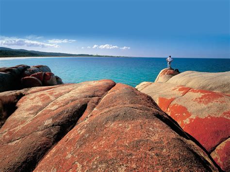 Bay Of Fires Full Day Tour Departs Launceston By Coach Gray Line Tasmania