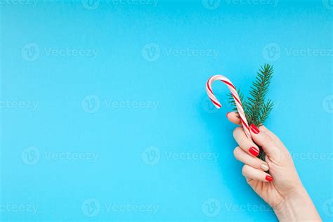 Female hand holding fir branch and sweet cane 10769797 Stock Photo at ...