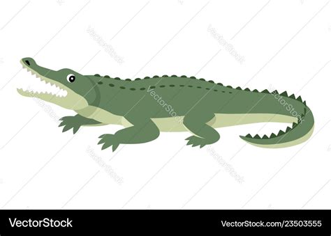 Friendly cute green alligator funny wild animal Vector Image