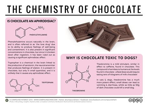 Milk Vs Dark Chocolate The Ultimate Showdown Reactions Science