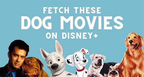 Best Dog Movies on Disney+ That Scratch The Itch - Inside the Magic