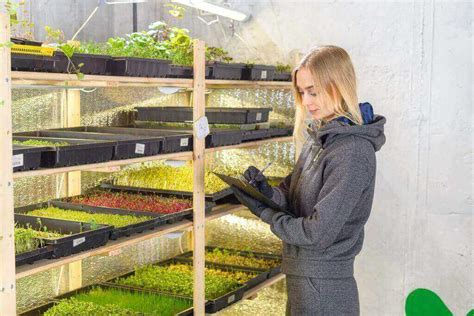 Microgreens Business The Ultimate Plan Welcome