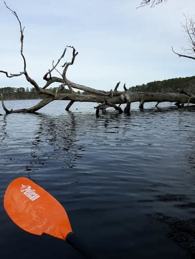 Lake Airfield Lake Airfield