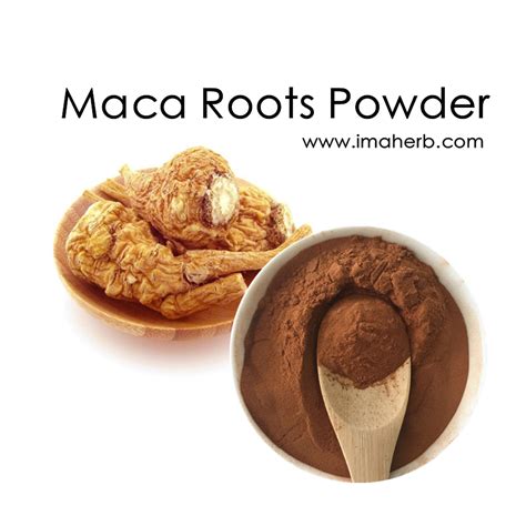 Maca Extract Maca Root Powder