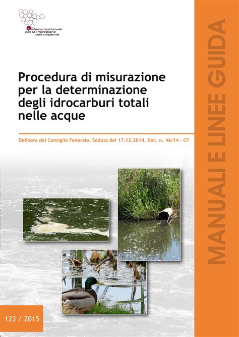 Procedura Di Misurazione Per La Determinazione Degli Idrocarburi Totali