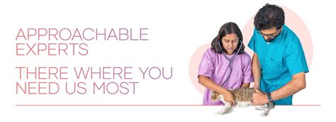 Expert Pet Care You Can Trust Tata Small Animal Hospital