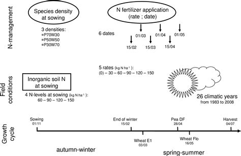 Triticum Aestivum L Tel Archives Ouvertes Hal