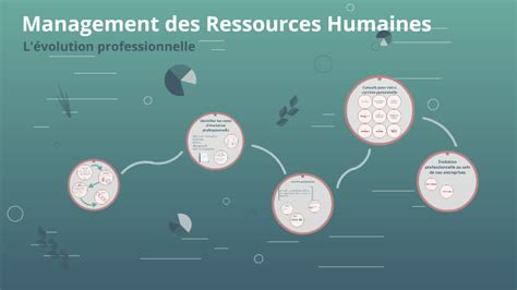 Management Des Ressources Humaines By Amandine Mo Nne Loccoz On Prezi