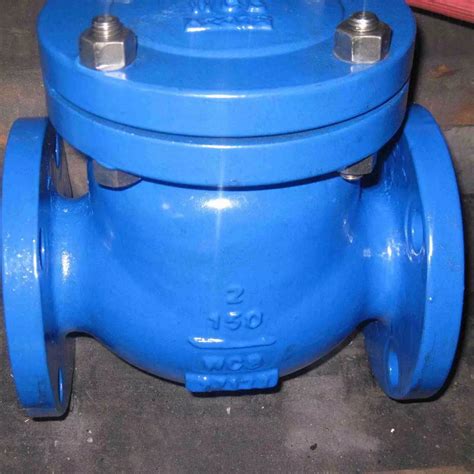 Bolted Bonnet Swing Check Valve 2 Inch 150 LB A216 WCB Vervo