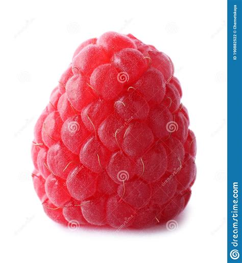 Delicious Fresh Ripe Raspberry Isolated Stock Photo Image Of Organic