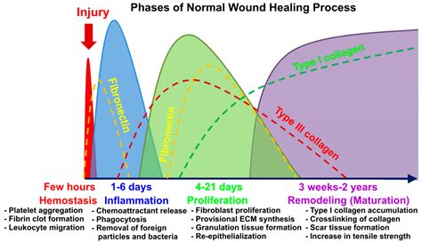 A Concise Review on Tissue Engineered Artificial Skin Grafts for