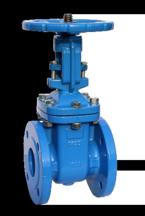 Zasuwy Klinowe Typ SW117BS GTM Process Valves