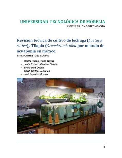 Acuaponia Tilapia Y Lechuga Pdf