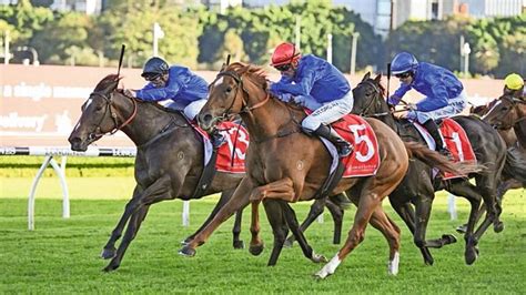 Group race double for Godolphin in Australia - News | Khaleej Times