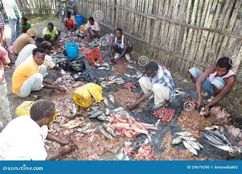 Fishes At The Open Fish Market Editorial Image - Image of ethiopian, lake: 29679390