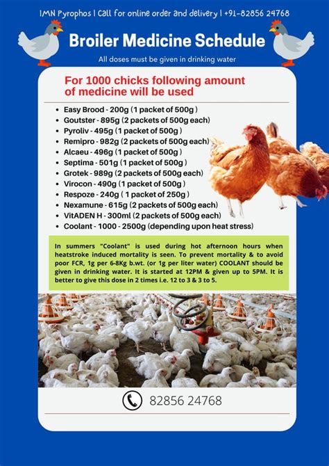 Broiler Medicine Schedule Chart Broiler Farming Made Easy Pdf