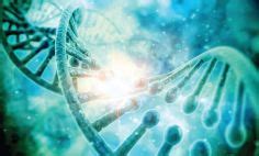 Learn About Your Genes With MedlinePlus NIH MedlinePlus Magazine