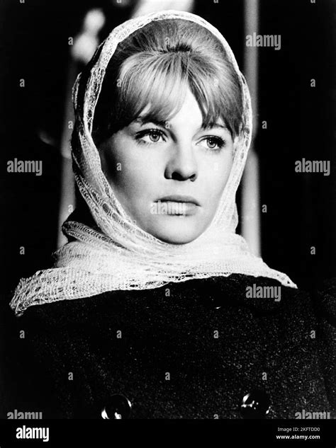 Doctor Zhivago Julie Christie Hi Res Stock Photography And Images Alamy