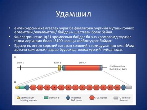 атопийн дерматит