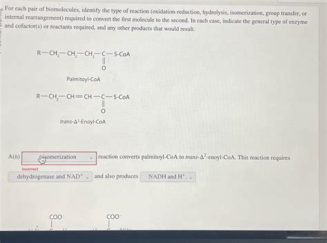 Solved For Each Pair Of Biomolecules Identify The Type Of Chegg