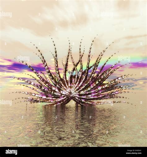 Fractal Objects Hi Res Stock Photography And Images Alamy
