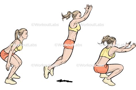 Standing Long Jumps Workoutlabs Exercise Guide