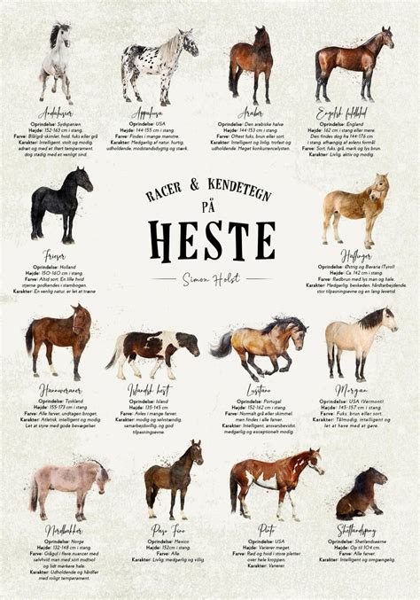 Heste-Plakat