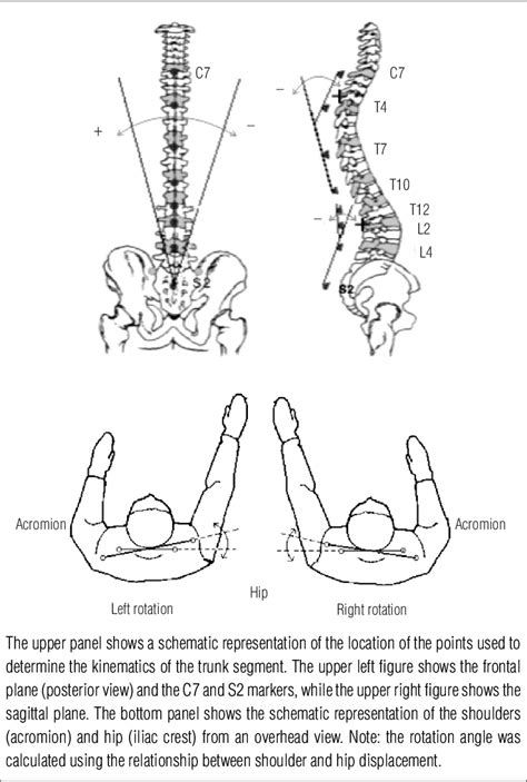 Schematic Representation Of The Biomechanical Model Adapted From