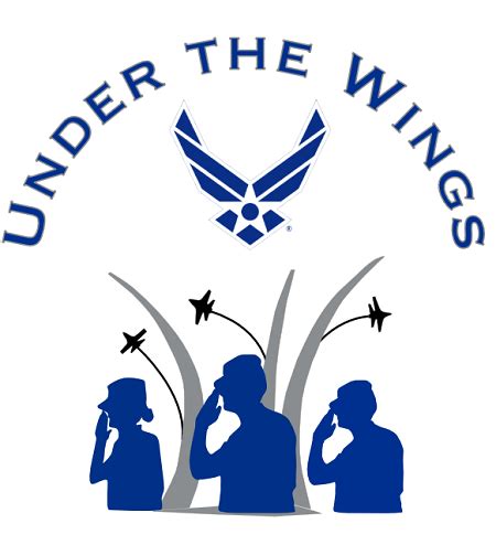 Holm Center launches ‘Under the Wings’ Junior ROTC cadet mentorship program > Edwards Air Force ...