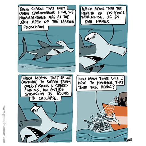 Green Humour: Hammerhead Shark Conservation Threats