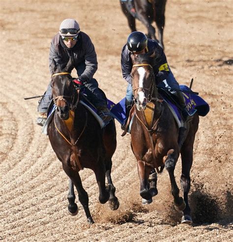 【有馬記念1週前追い】ダノンベルーガ 堀師辛口評価も「状態も少しずつ良くなっている」（スポニチ） 毎日新聞