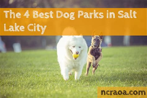 The 4 Best Dog Parks In Salt Lake City | NCRAOA