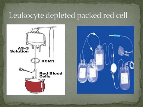 PPT Adverse Reaction Of Blood Transfusion PowerPoint Presentation