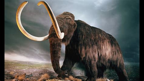 7 Extinct Animals That May Still Be Alive - YouTube
