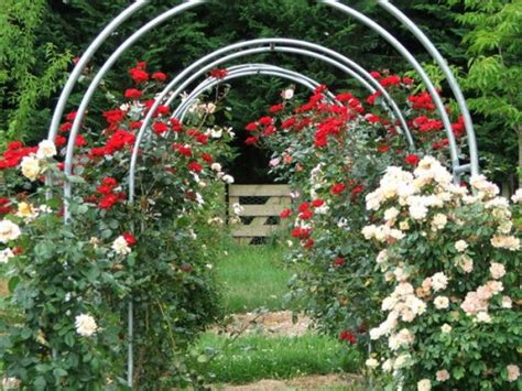 21 Cool Garden Archways Covered With Flowers Shelterness