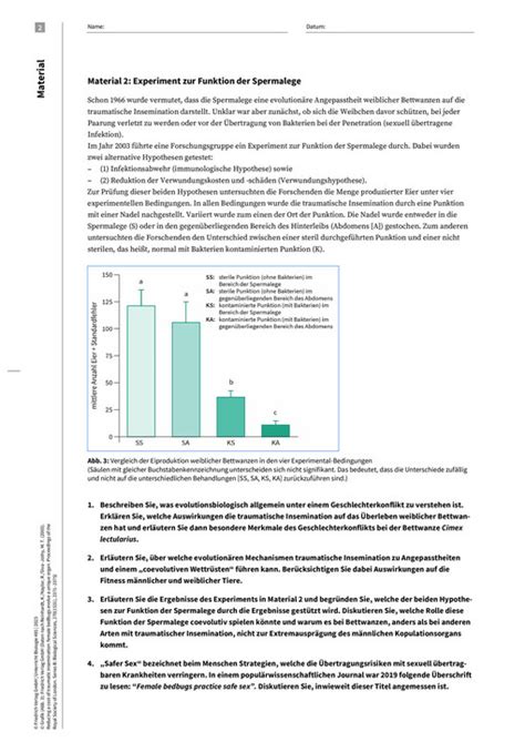 Safer Sex Durch Geschlechterkonflikt Bei Bettwanzen
