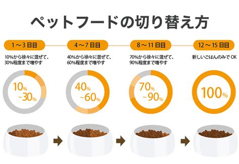 トイ・プードルの餌の量は？適正な食事量をライフステージ別に解説 Nademo ペットメディア【nademo なでも 】