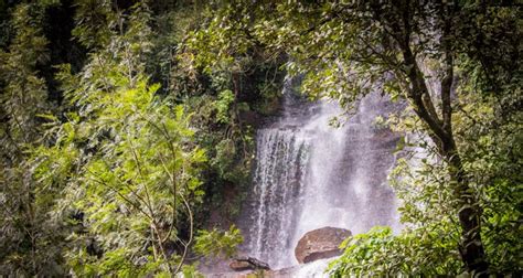 Jhari Falls Chikmagalur (Timings, Entry Fee, Images, Best time to visit, Location & Information ...