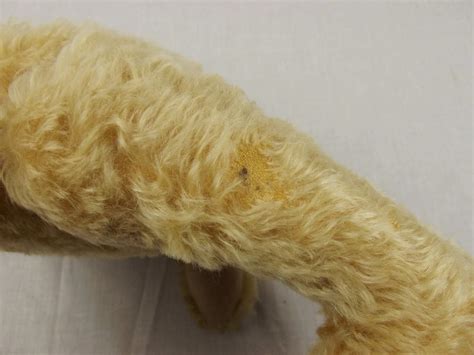 Steiff Large Growling Blonde Teddy Bear Sally Antiques
