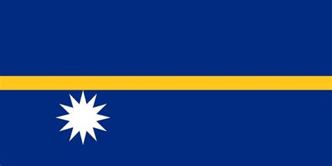 Ilustraci N Vectorial De La Bandera Nacional De Nauru Con Color Oficial