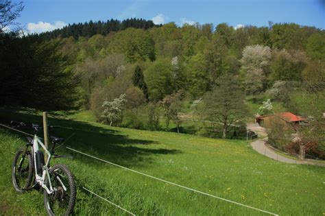 Die Schönsten Fahrrad Touren In Hessen