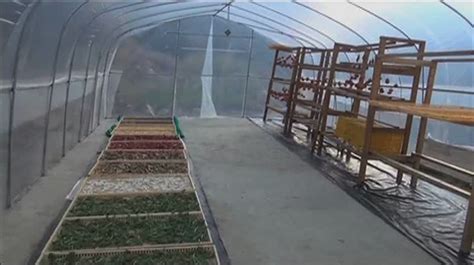 Greenhouse Solar Dryer New Method To Dry Agricultural Products Bbs Bbs