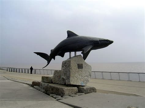 Shark Statue Shark Statue Outside The Deep Beyond Is The Flickr