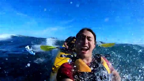 A Seal Slaps A Kayaker With An Octopus Un Phoque Gifle Un Kayakiste